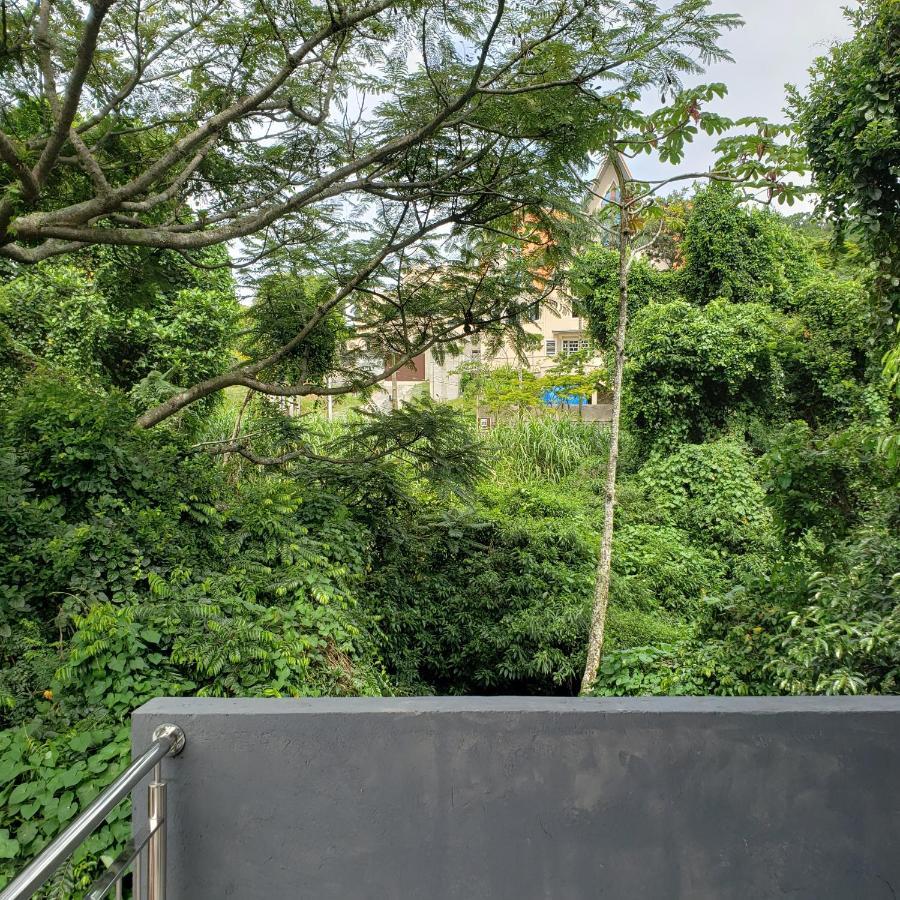 Casa Arro - Pousada Boutique Itajaí Eksteriør billede